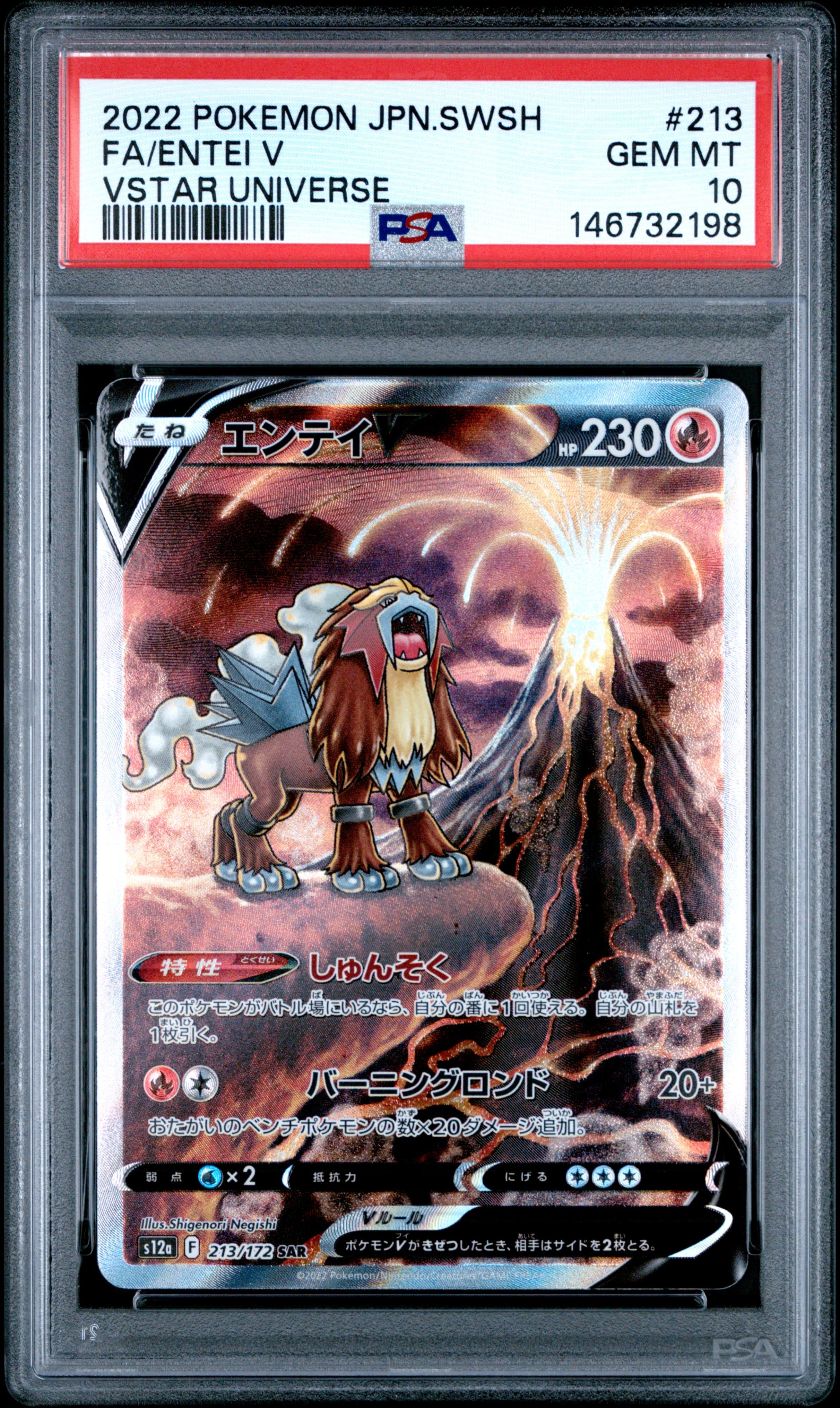 Entei V